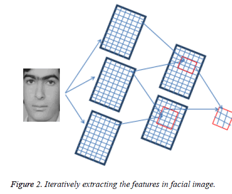 biomedres-facial-image