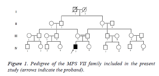 biomedres-family-acetate