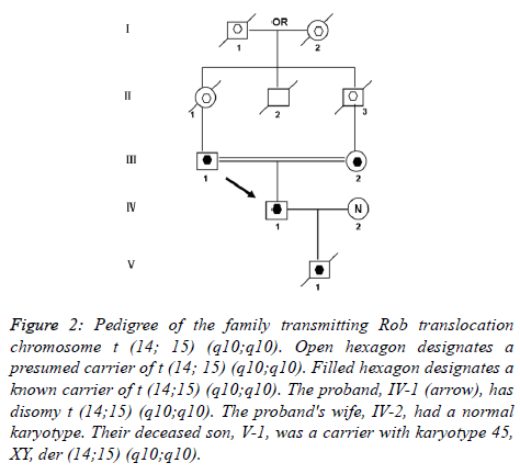 biomedres-family-transmitting-Rob