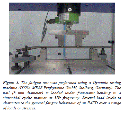 biomedres-fatigue-test