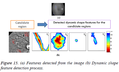 biomedres-feature-detection