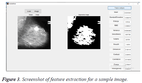 biomedres-feature-extraction