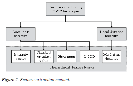 biomedres-feature-extraction-method