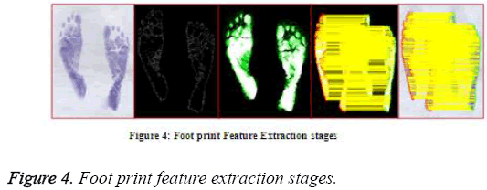 biomedres-feature-extraction-stages