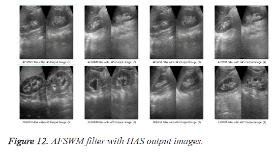 biomedres-filter-output-images