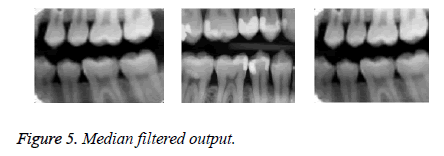 biomedres-filtered-output