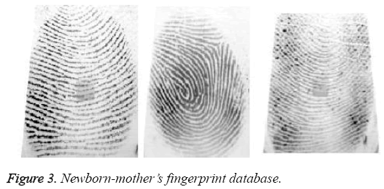 biomedres-fingerprint-database