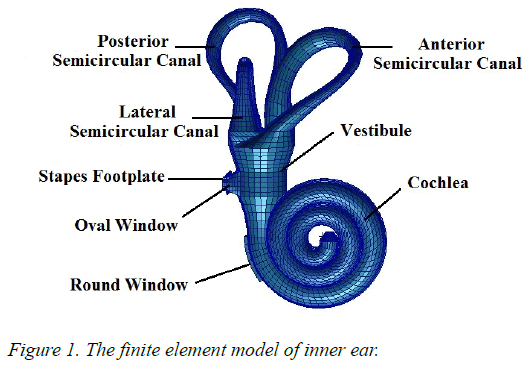 biomedres-finite-element