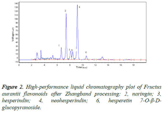 biomedres-flavonoids-Zhangband-processing