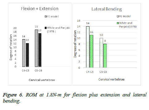 biomedres-flexion-plus-extension