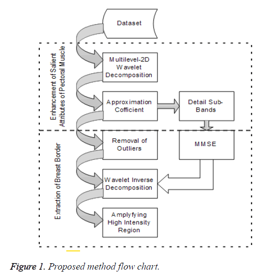 biomedres-flow-chart