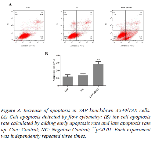 biomedres-flow-cytometry