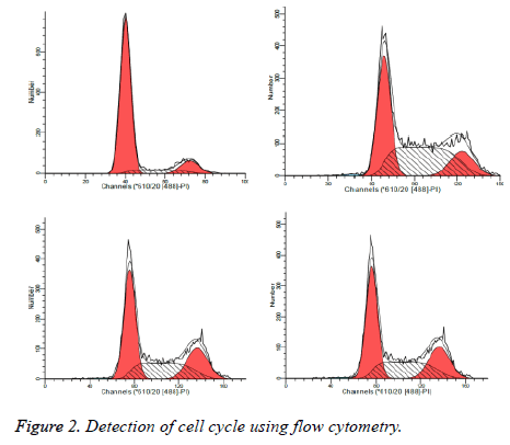 biomedres-flow-cytometry