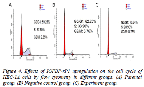 biomedres-flow-cytometry