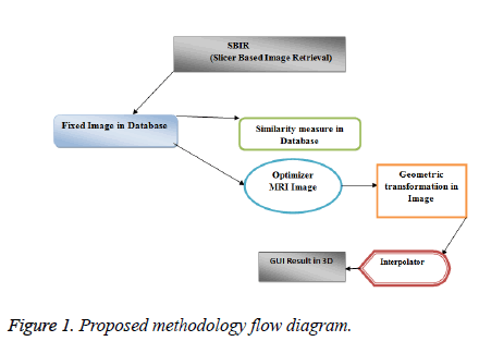 biomedres-flow-diagram