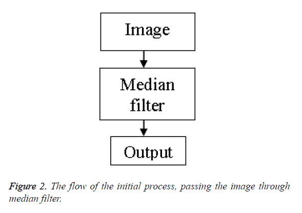 biomedres-flow-initial-process