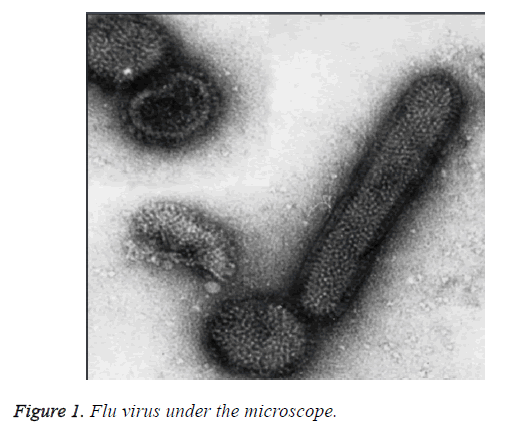 biomedres-flu-virus-microscope