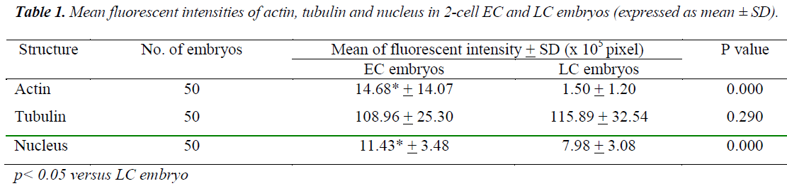 biomedres-fluorescent-intensities