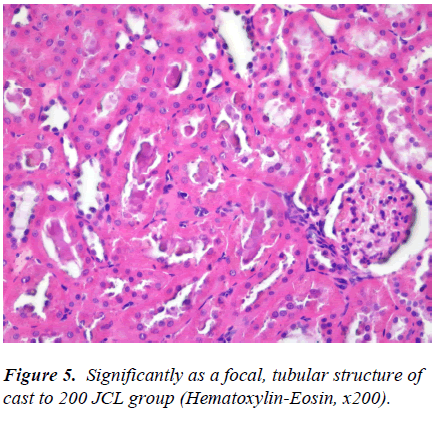 biomedres-focal-tubular