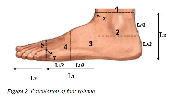 biomedres-foot-volume