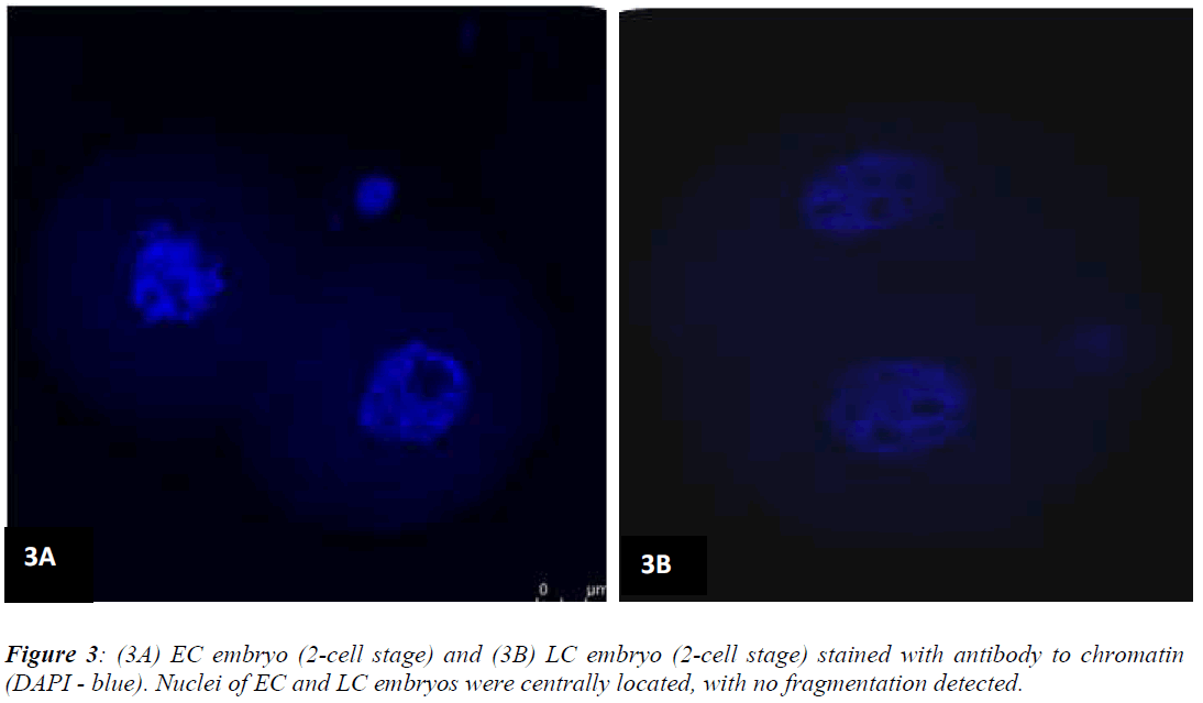 biomedres-fragmentation-detected