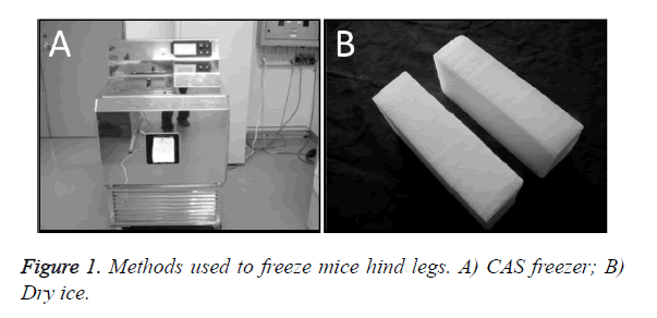 biomedres-freeze-mice