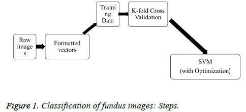 biomedres-fundus-images