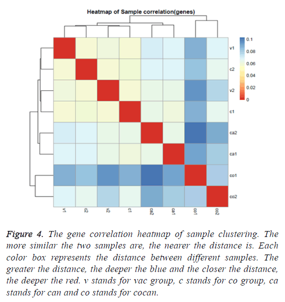 biomedres-gene-correlation-heatmap