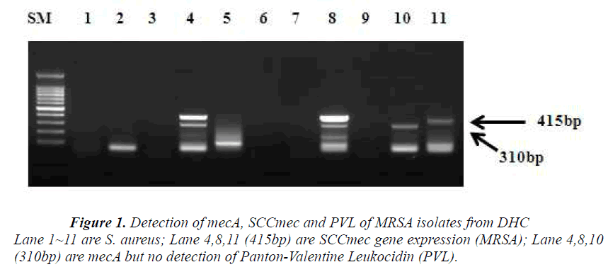 biomedres-gene-expression