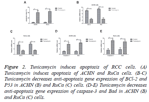 biomedres-gene-expression