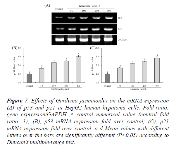 biomedres-gene-expression