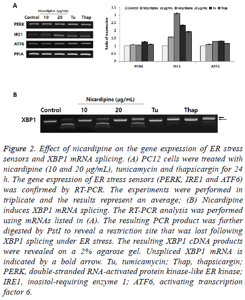 biomedres-gene-expression