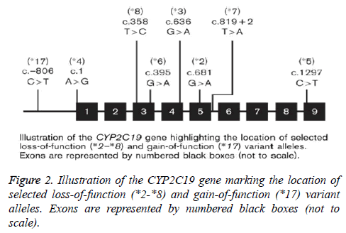 biomedres-gene-marking