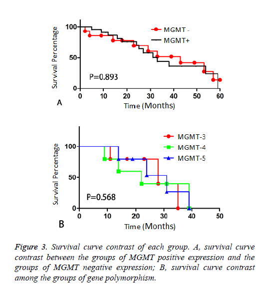 biomedres-gene-polymorphism