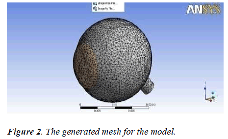 biomedres-generated-mesh-model