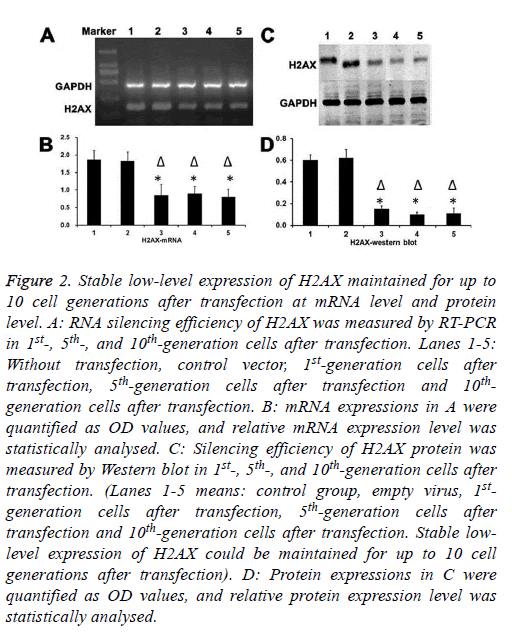 biomedres-generation-transfection