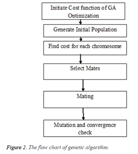 biomedres-genetic-algorithm