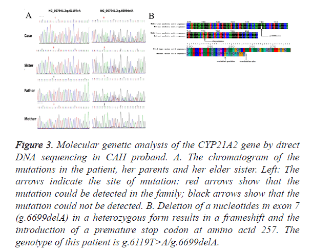 biomedres-genetic-analysis