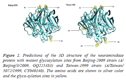 biomedres-glycosylation-amino-acids