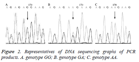 biomedres-graphs-genotype