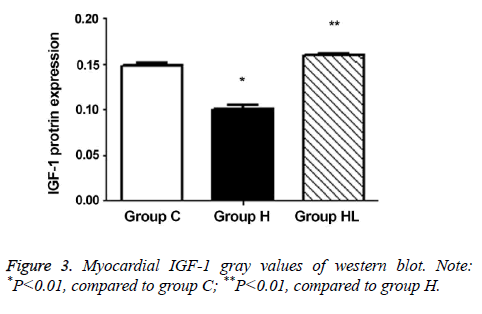 biomedres-gray-values