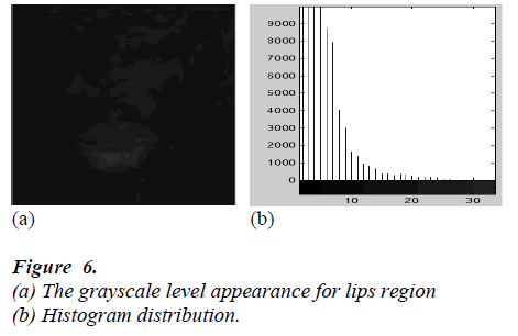 biomedres-grayscale-level