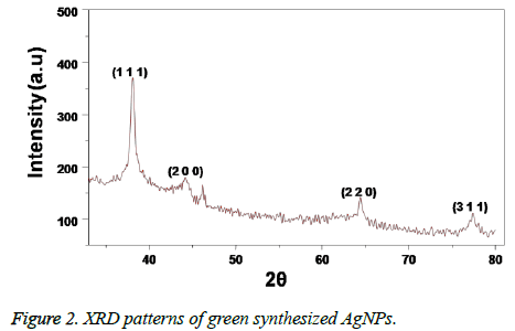 biomedres-green-patterns