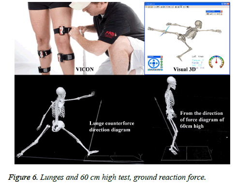 biomedres-ground-reaction