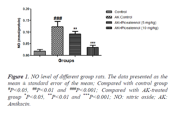 biomedres-group-rats