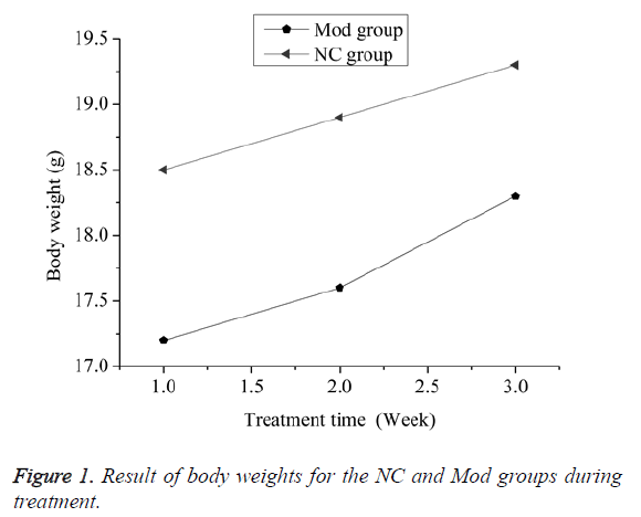 biomedres-groups-during-treatment