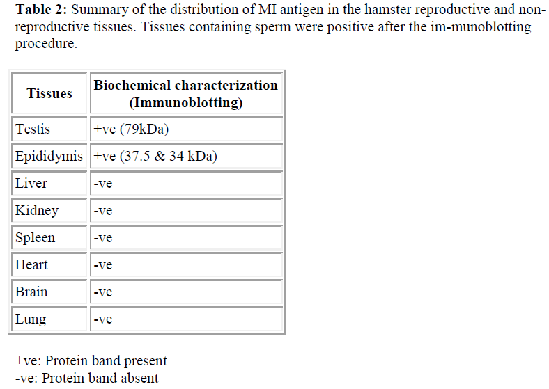 biomedres-hamster-reproductive