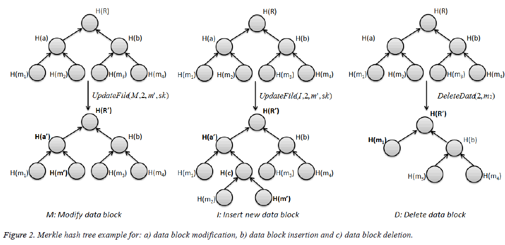 biomedres-hash-tree