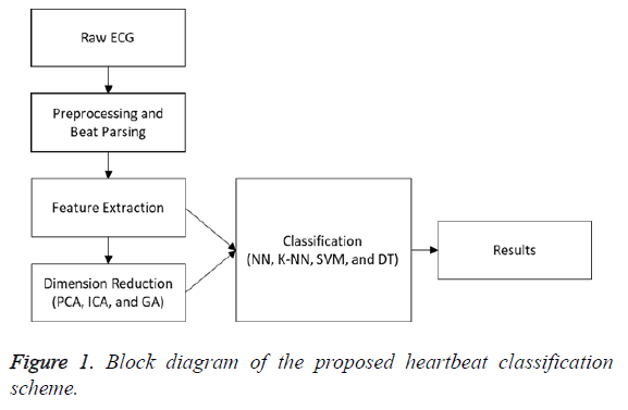 biomedres-heartbeat-classification