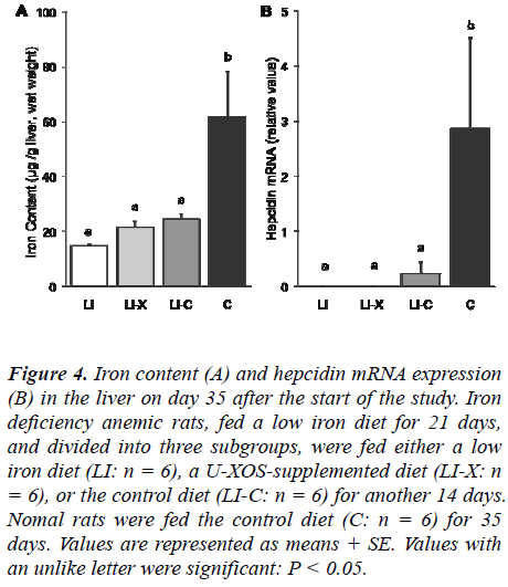 biomedres-hepcidin-mRNA-expression